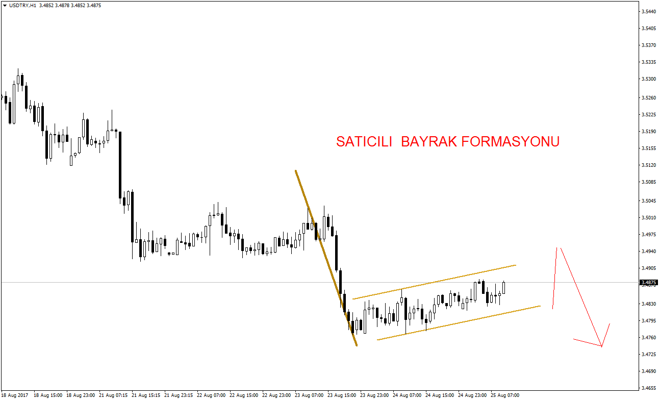 2017_08_25_USDTRY_Bearish_Flag.png